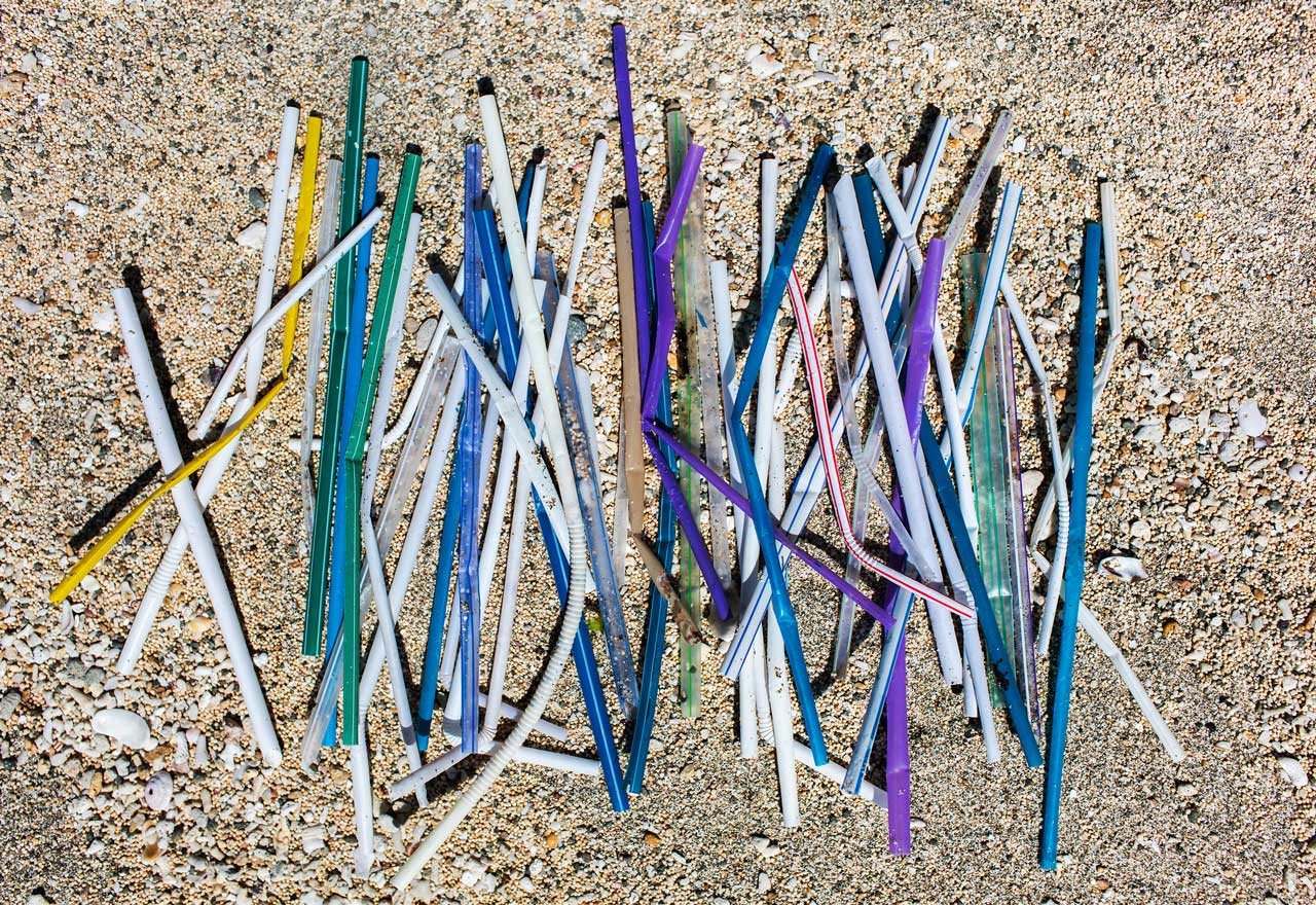 Viele Strohhalme liegen im Sand und verursachen Plastikmüll im Meer.